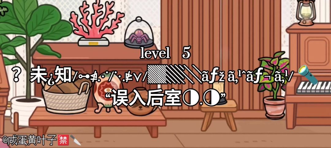 video-5455747