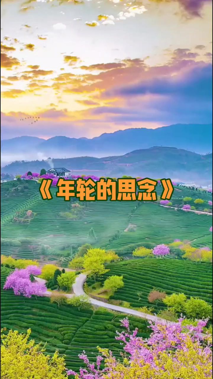 《年轮的思念》截图