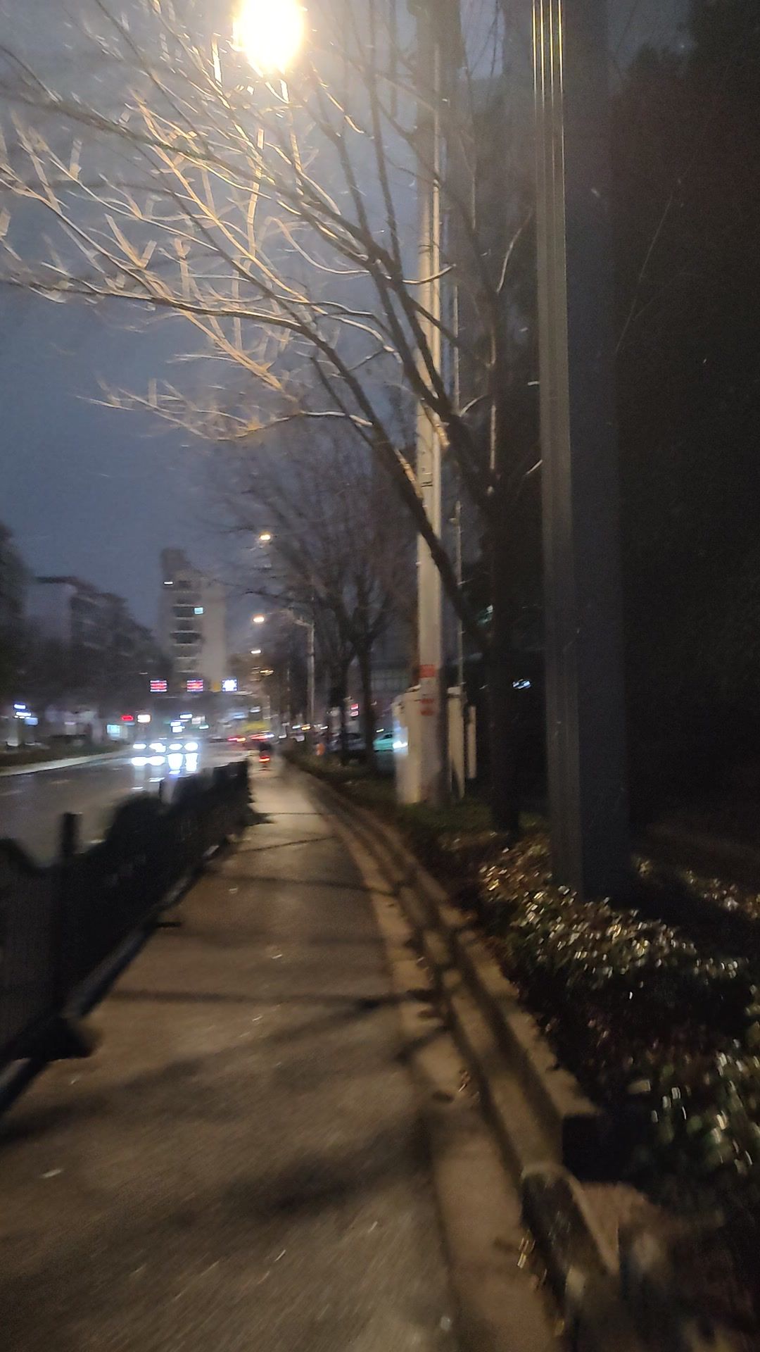 video-5459361