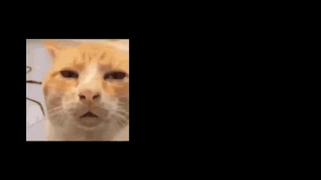 video-5459504