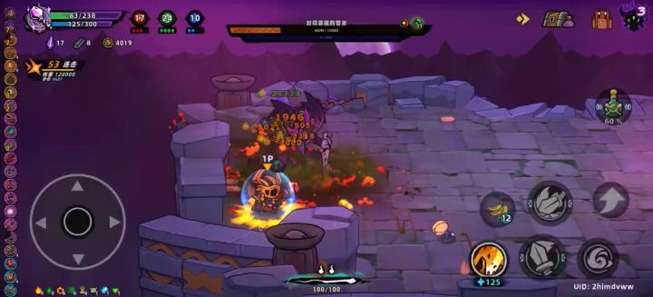 火毒实战截图