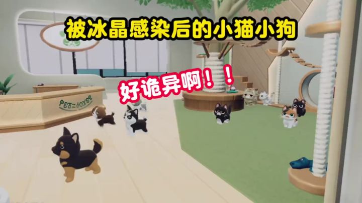 被冰晶感染后的小猫小狗竟然?截图