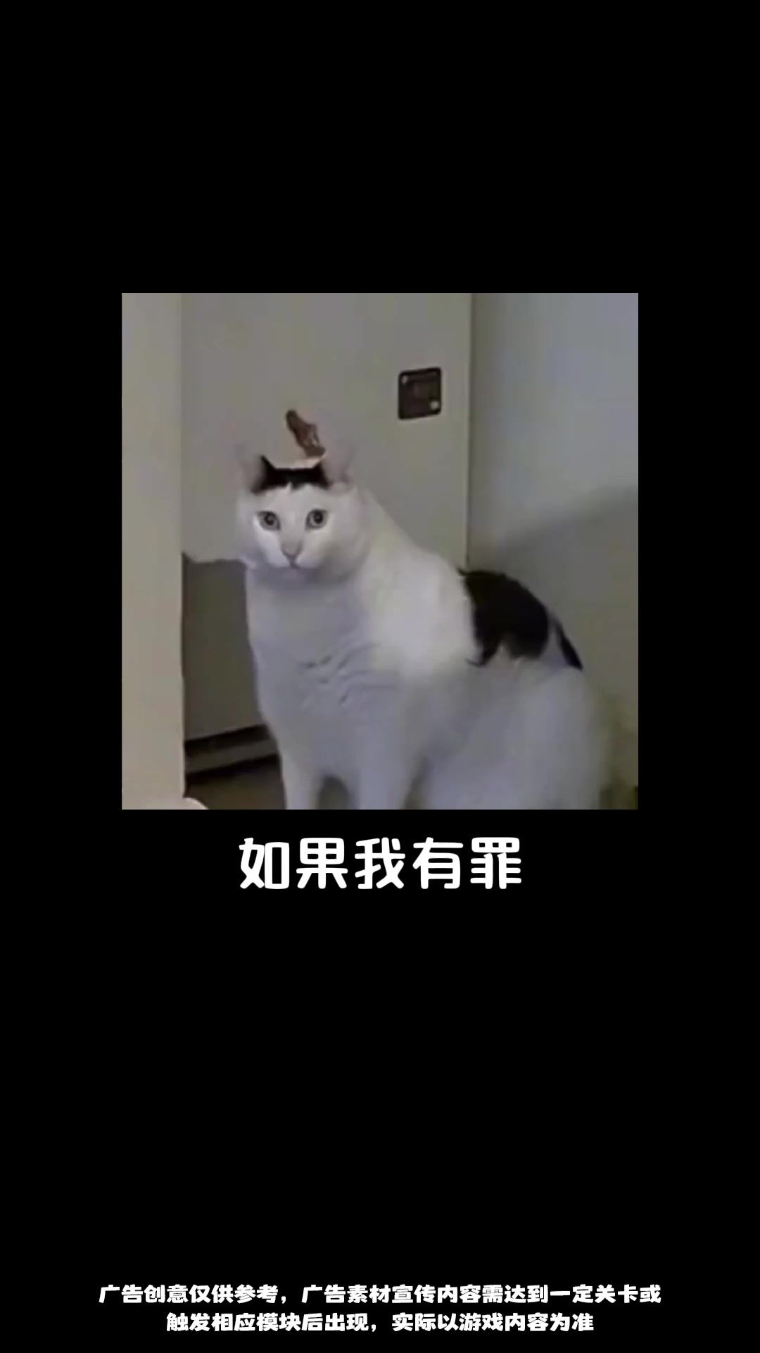 video-5470580