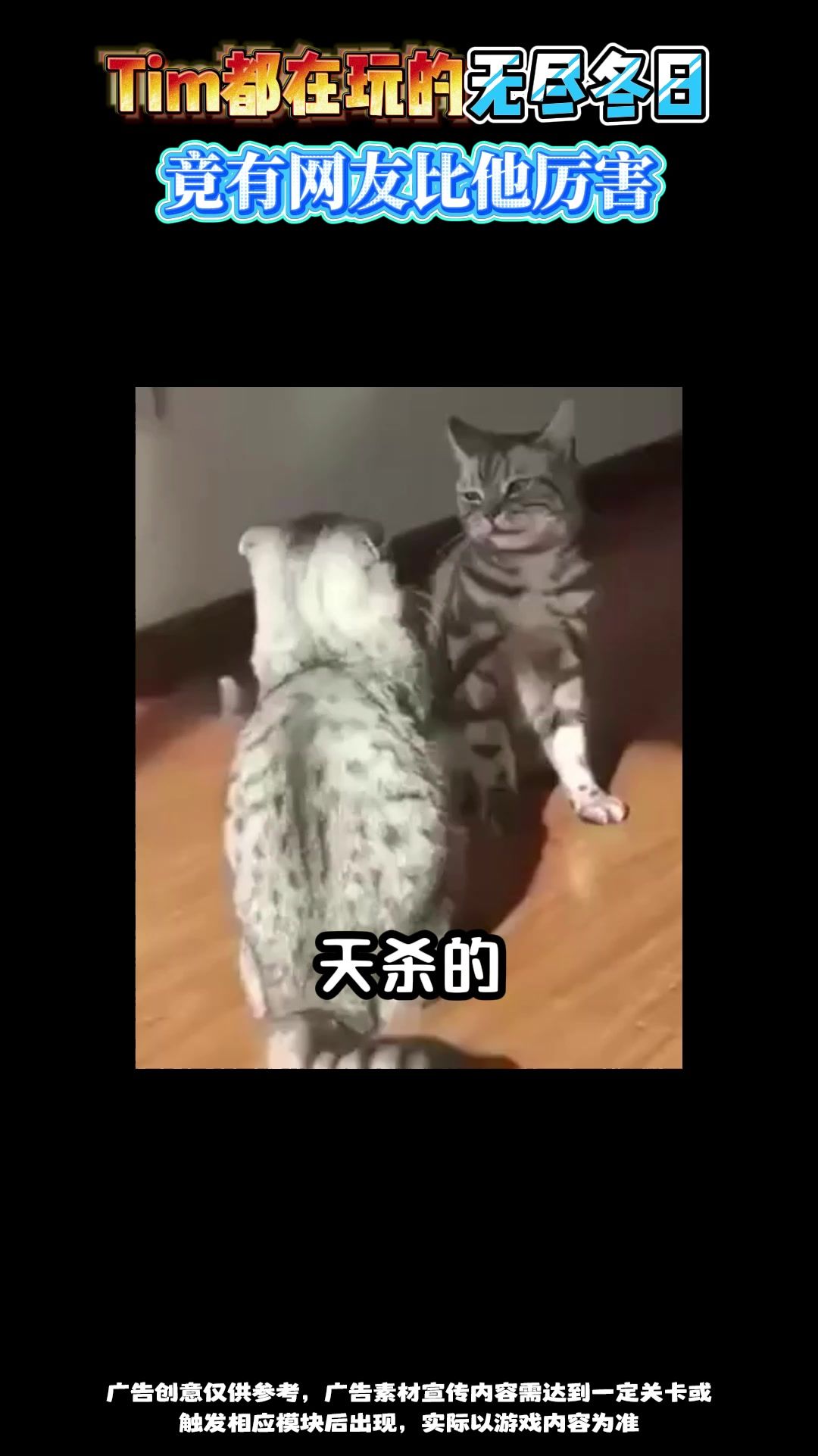 video-5470586