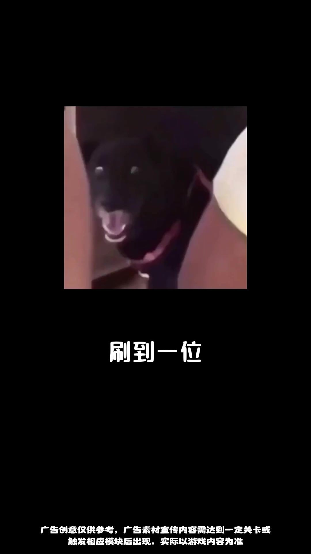 video-5470588
