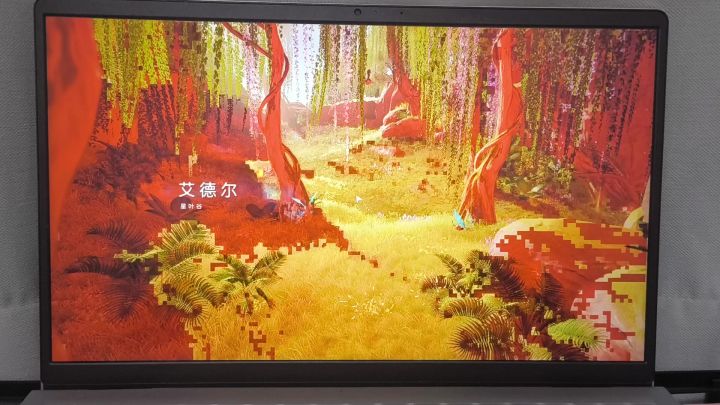 无法进入游戏截图