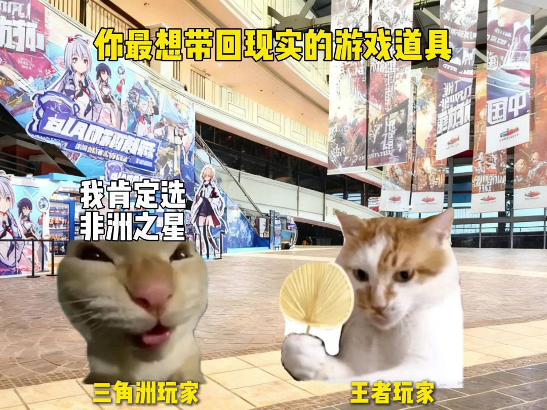 video-5479100