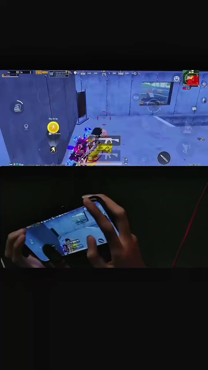 video-5480414