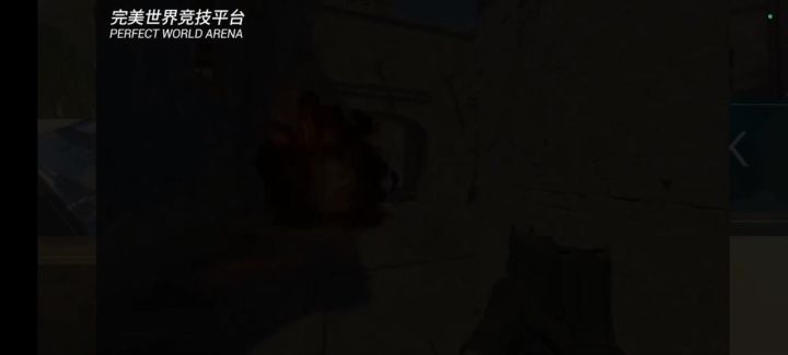 赶紧收拾了敌人回家吃红烧鸡翅喽截图