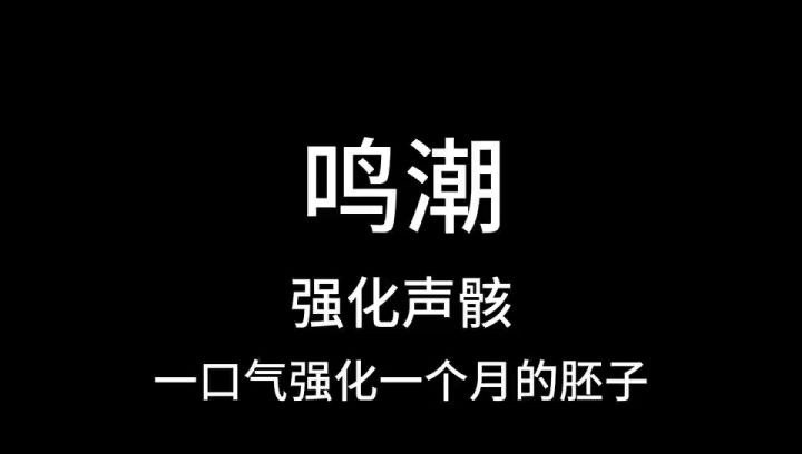 鸣潮,声骇每月集中强化截图