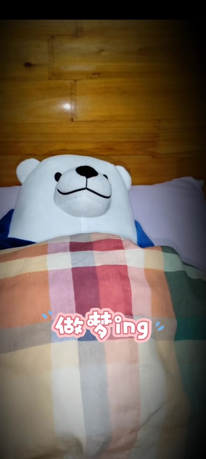 当白熊梦到自己被集结截图