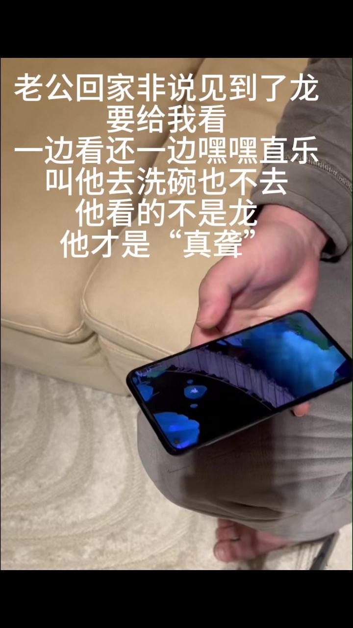 老公说他在灵兽大冒险看到一条龙截图