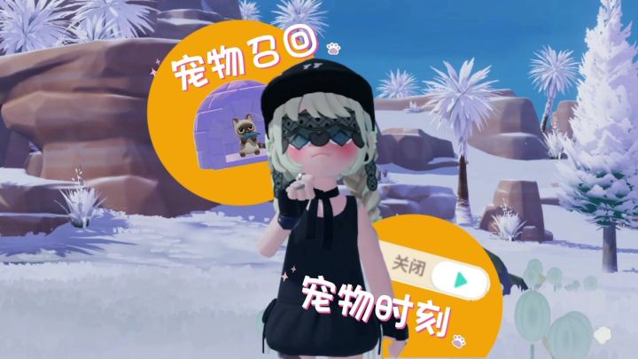宠物功能更新了？截图