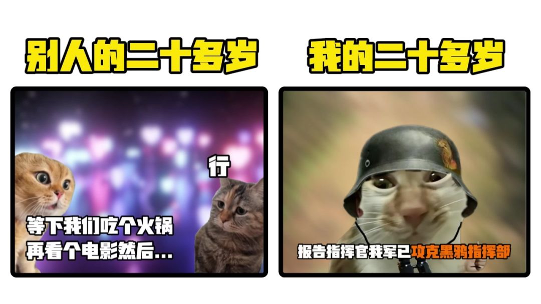 video-5500902