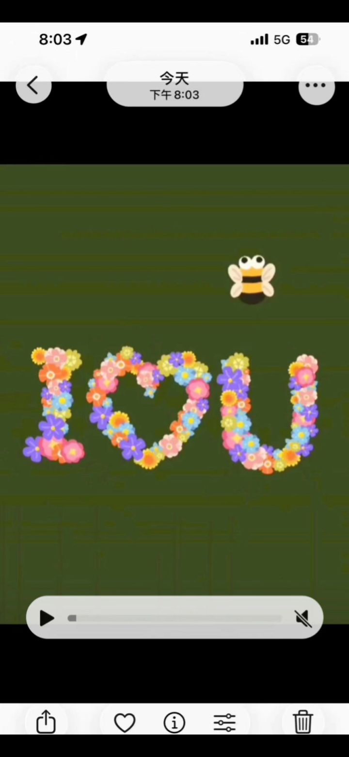 I Love you ˚₍ ᐢ. ̫ .ᐢ ₎˚截图