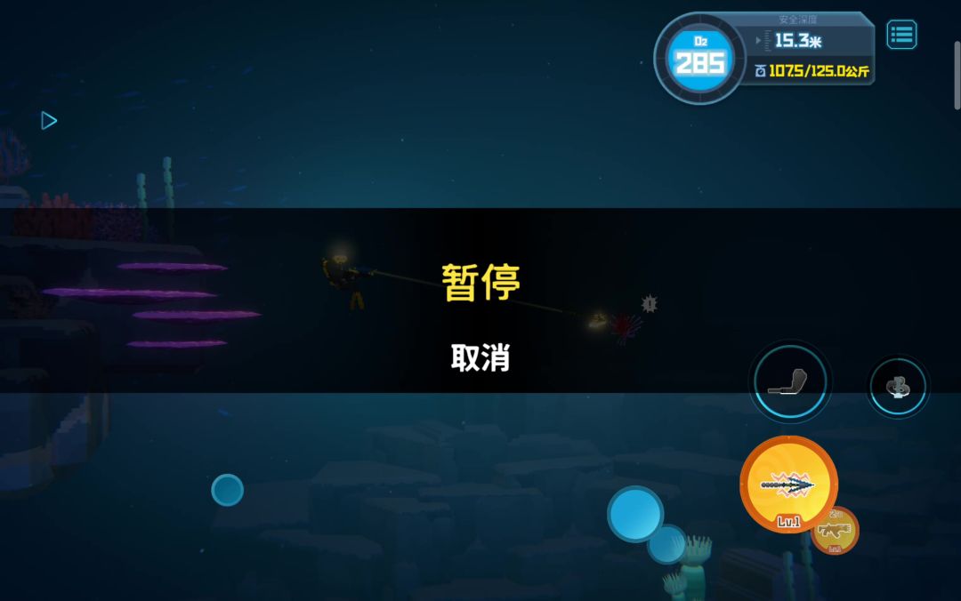 video-5508017