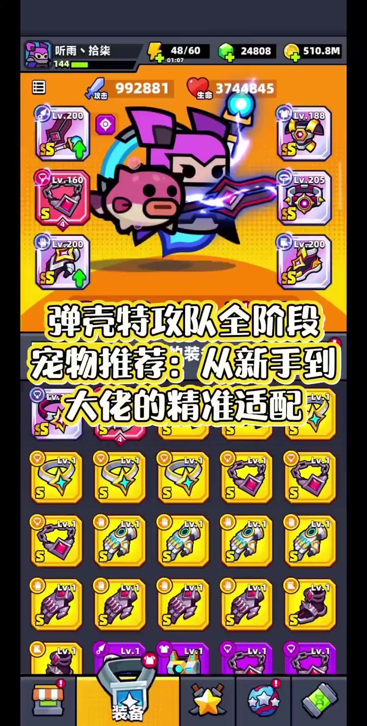 弹壳特攻队全阶段宠物推荐截图