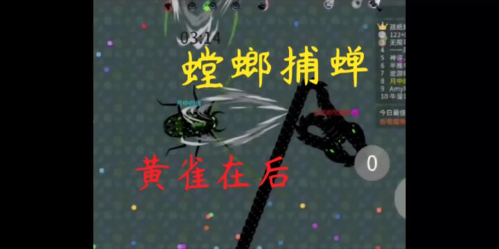 我的甲虫终究还是没能寿终正寝吗截图
