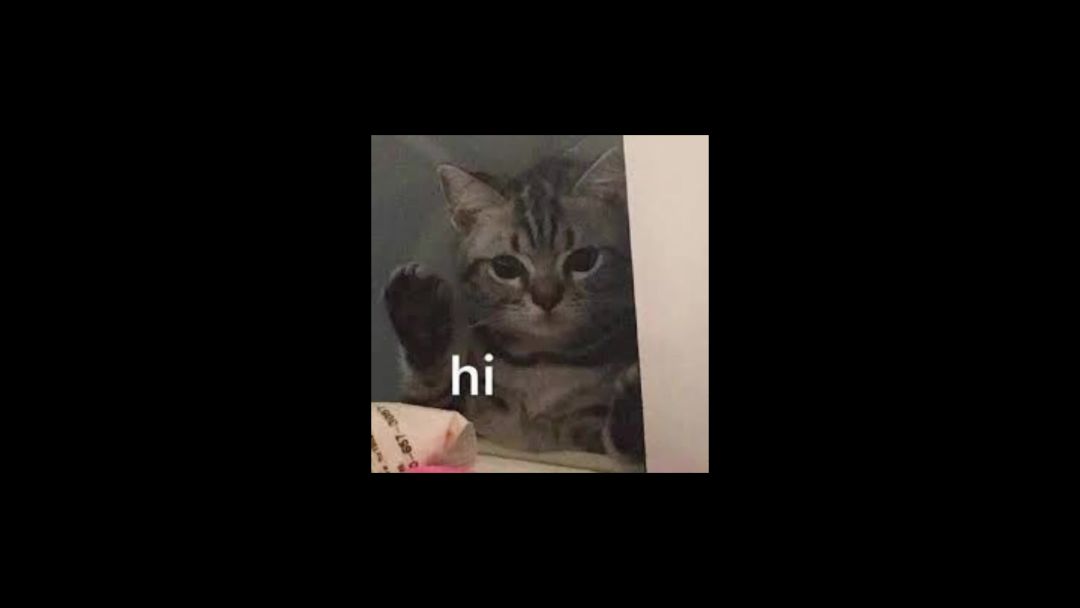 video-5522125