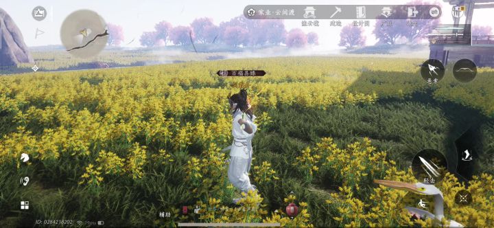 补足了小时候没有横扫油菜花的怨念截图