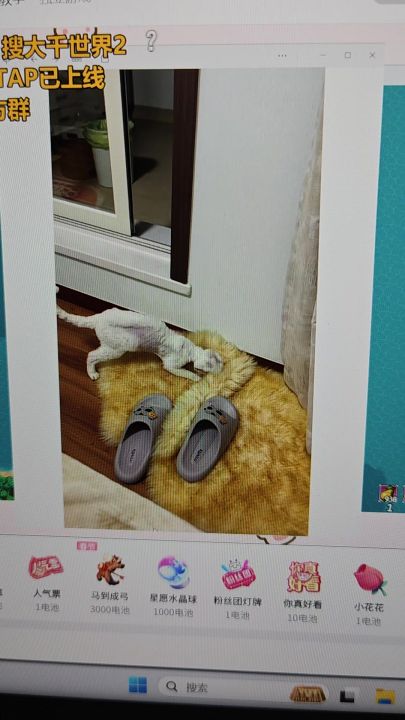 新内容新知道,早看早了解截图