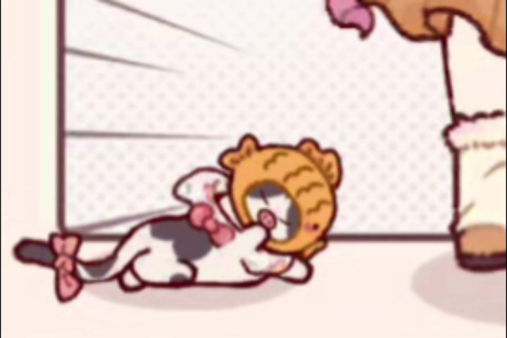 看!是一只小猪猫!截图