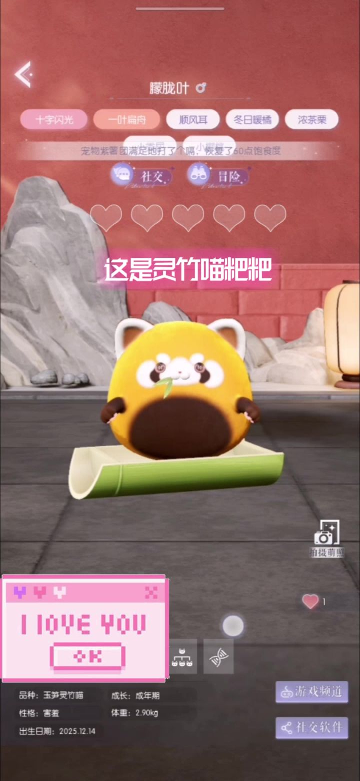 多巴胺萌宠野生荔枝喵截图