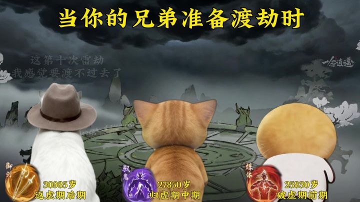 还没渡雷劫,两个兄弟已经开始“分我家”了截图