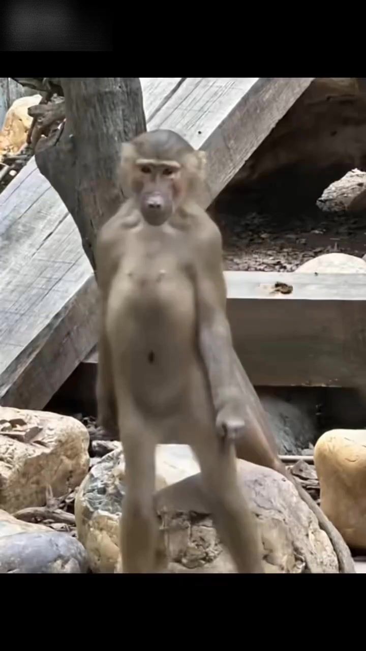 笑的是gay截图