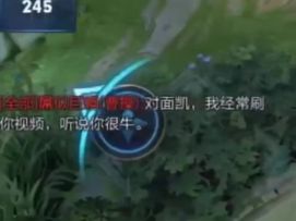 国服一刀流铠皇被对面惹怒