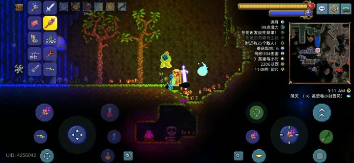 两个世纪花苞截图