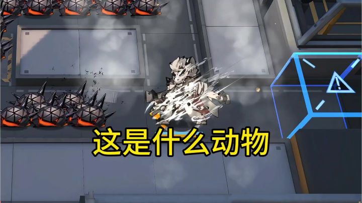 这是什么动物?截图