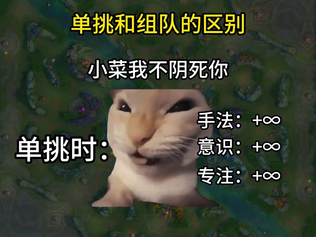 video-5541188