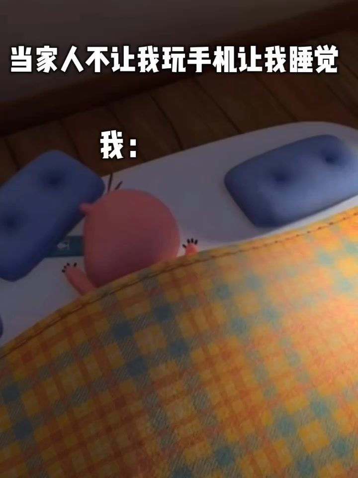 当家人不让我玩手机让我睡觉截图