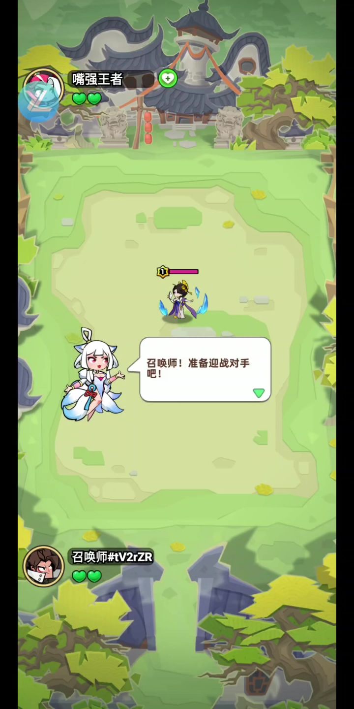王者之弈丨测试服丨新游截图
