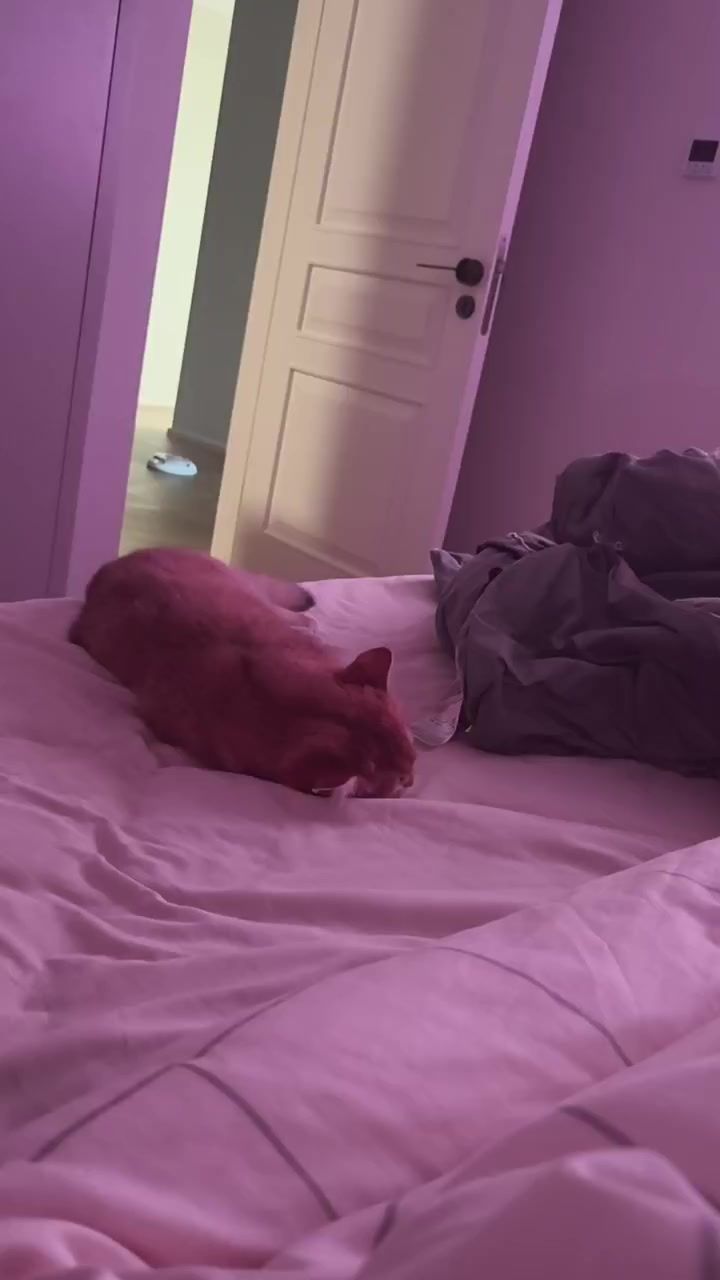 video-5544614