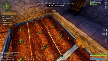 【精选攻略】种植指南详细教学