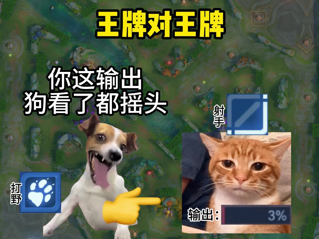 video-5548904