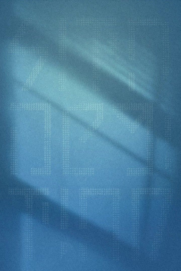 营地伙伴观察笔记 | 茜塔今天加班了吗？截图