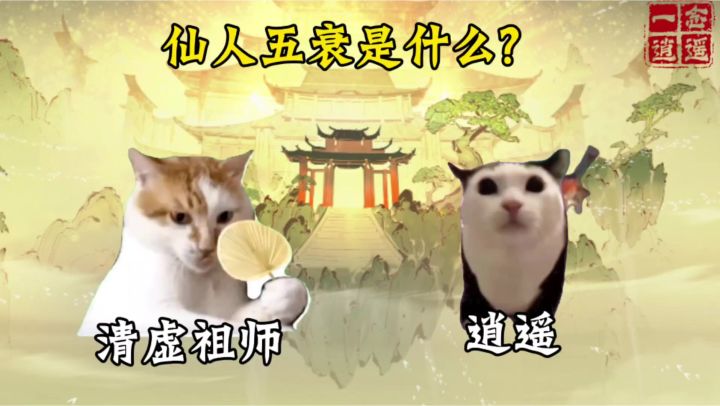 仙人五衰是什么截图