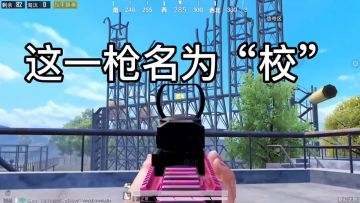 这一枪名为 "校"