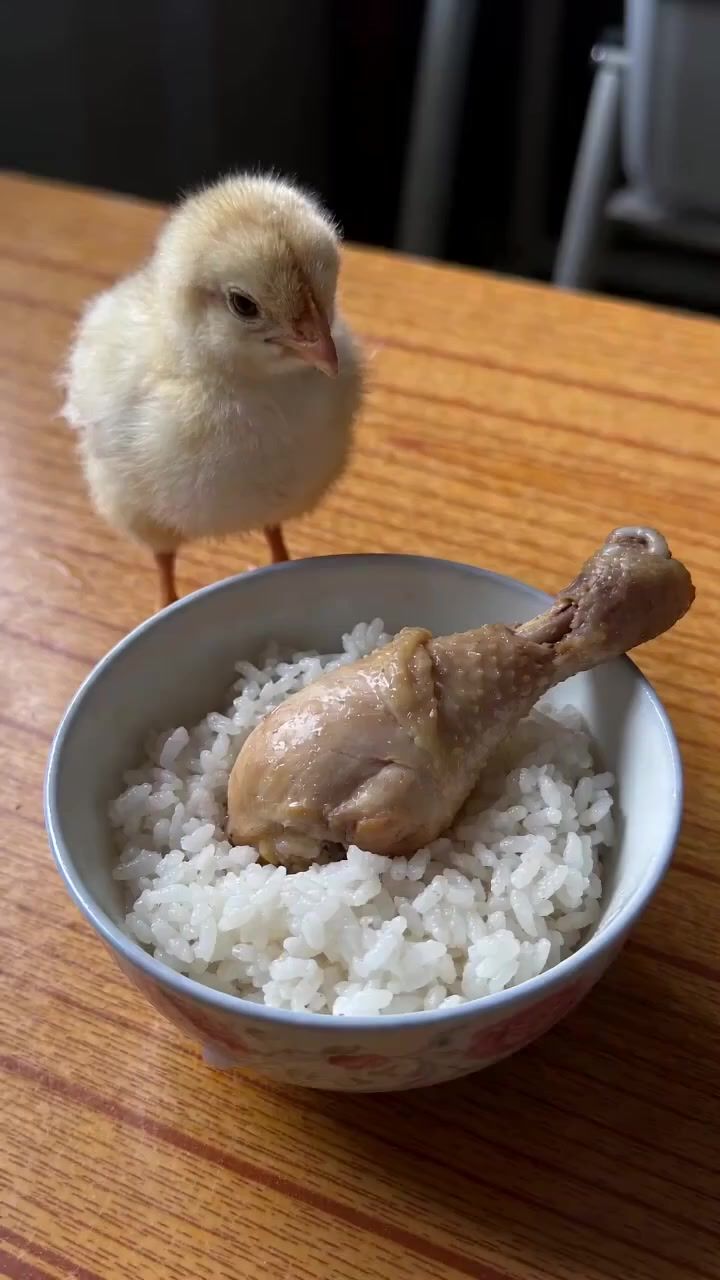 嗯,对,继续阴吧。截图