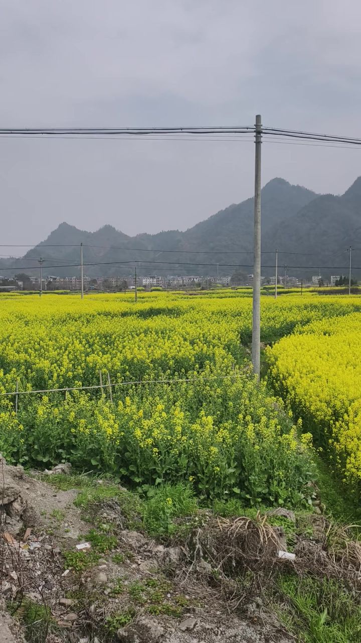 旅途风景截图