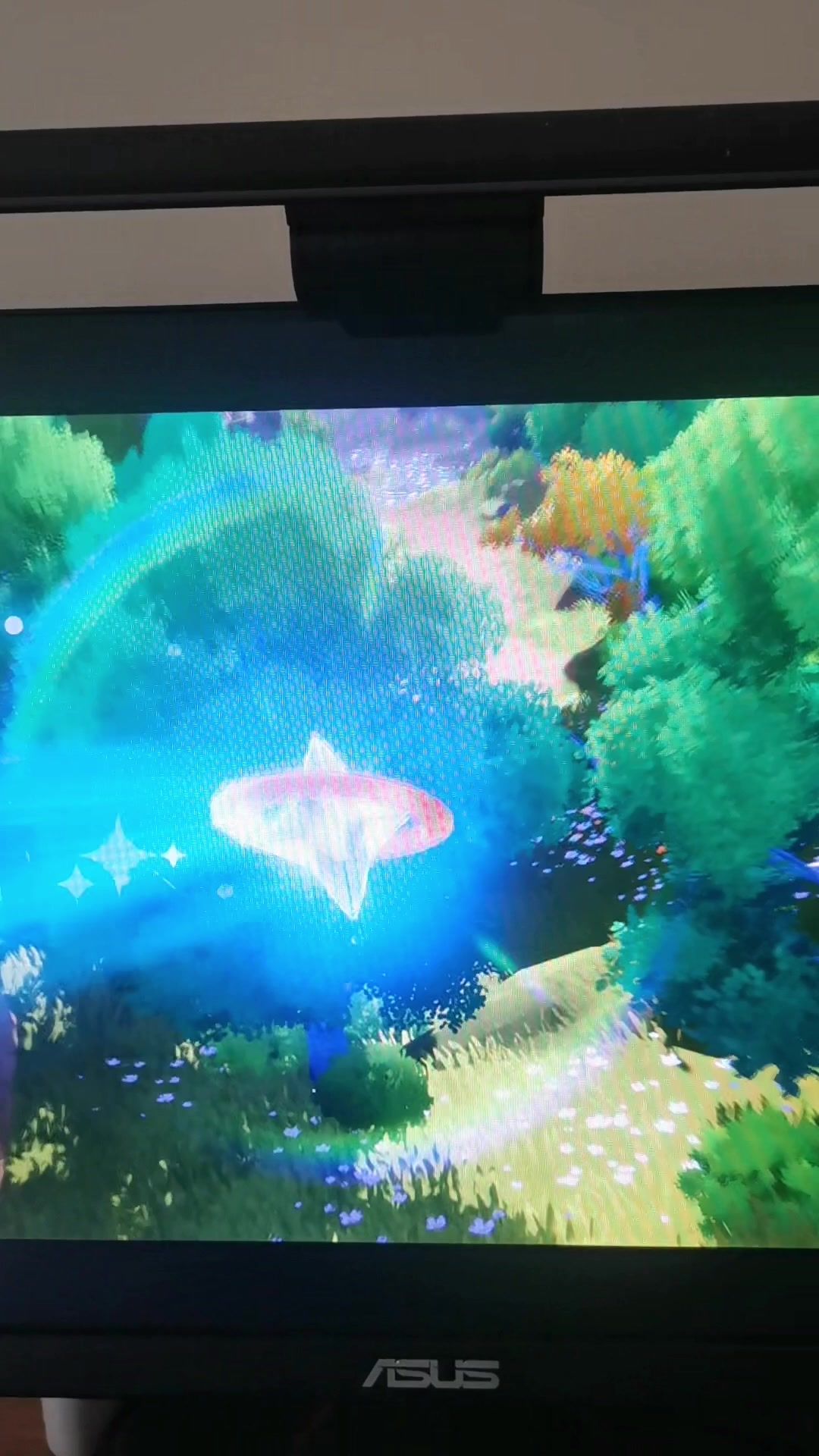 video-5575102