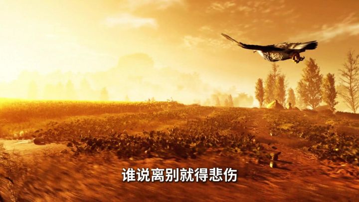 百万平宫城藏奇遇，揭秘宫廷奇闻趣事！截图