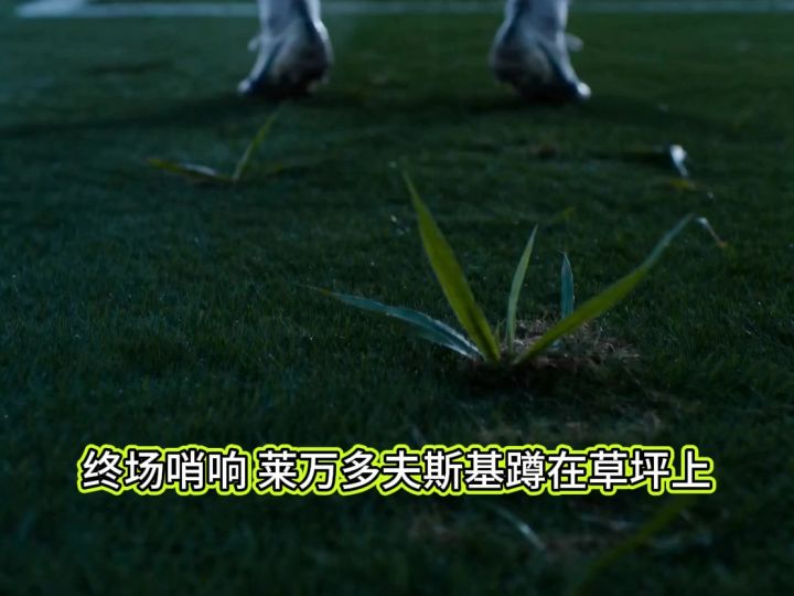 莱万多夫斯基：他跑赢了时间，却没跑赢世界杯截图