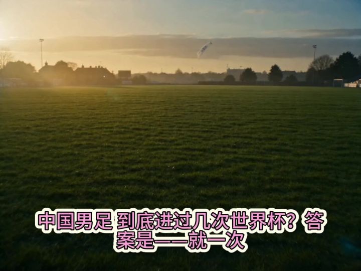 中国男足,到底进过几次世界杯?截图
