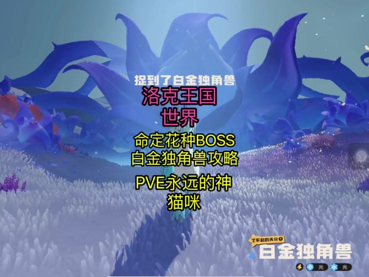 【洛克王国世界】命定花种白金独角兽攻略截图