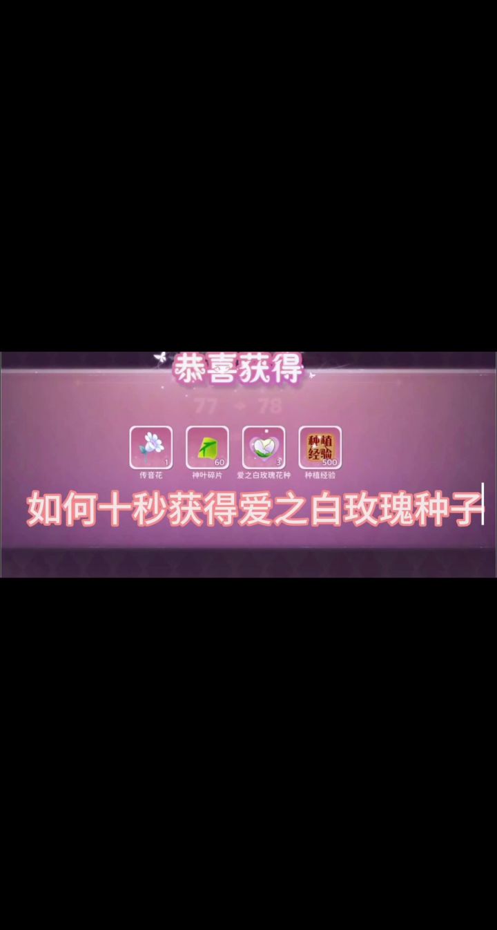 新手如何获得古早珍稀花种【爱之白玫瑰】截图