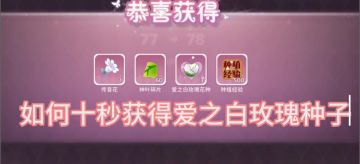 新手如何获得古早珍稀花种【爱之白玫瑰】